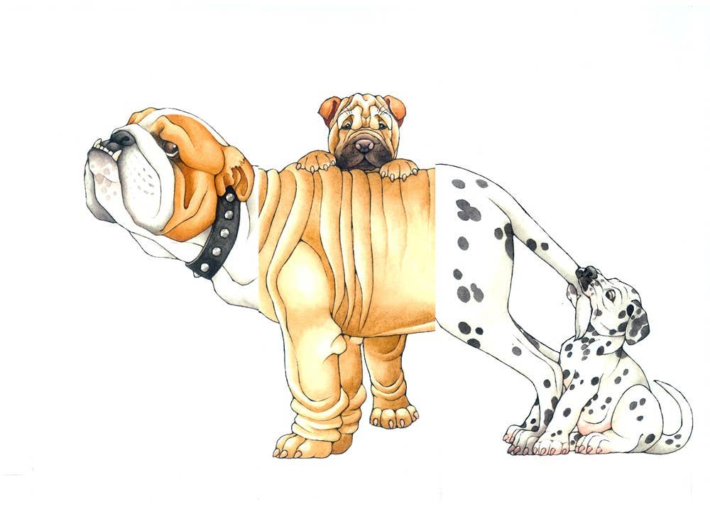 Mix-a-Mutt: Make Your Own Wacky Canine!: Board Book