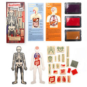 Anatomy Stamp Set