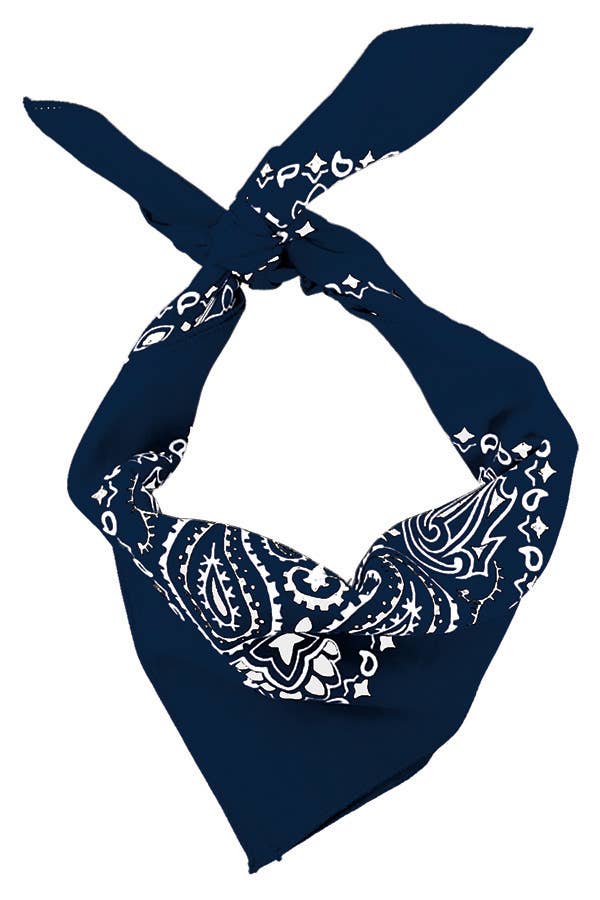 Bandana - Navy Paisley