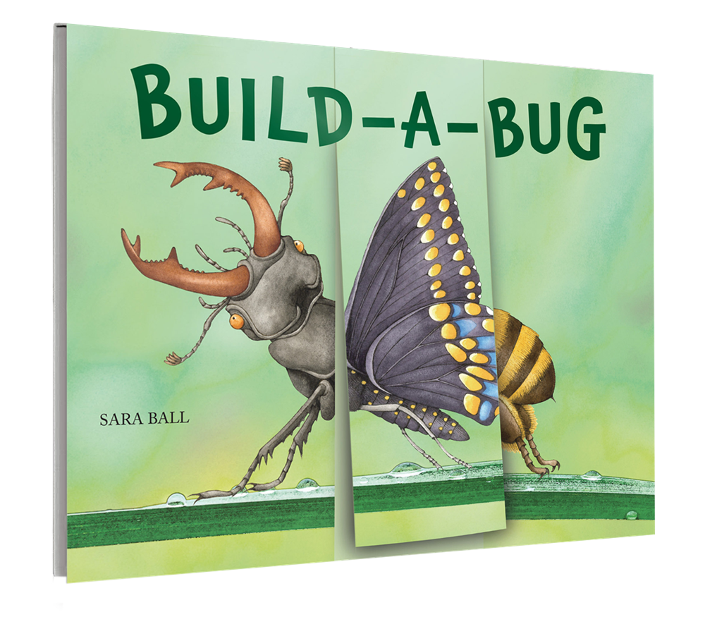 Build-A-Bug Board Book