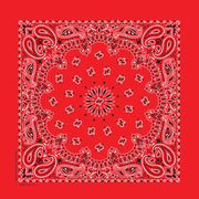 Bandana - Red Paisley