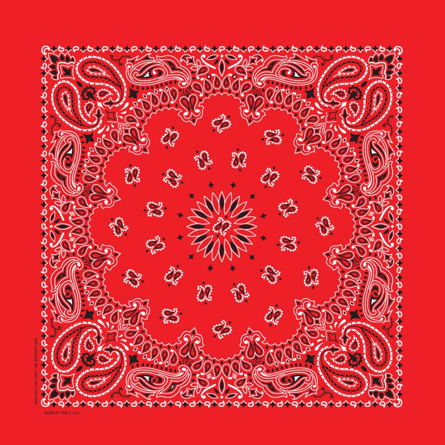 Bandana - Red Paisley