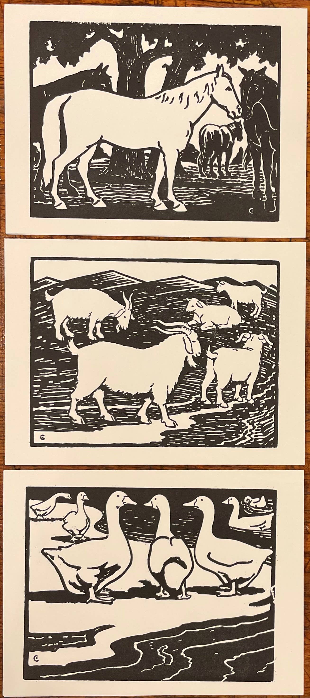 Barnyard Animal Coloring Cards