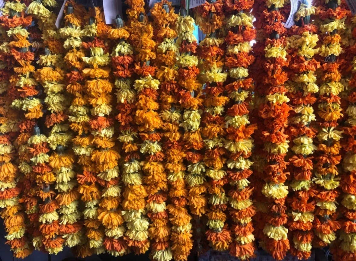 Dried Marigold Garland