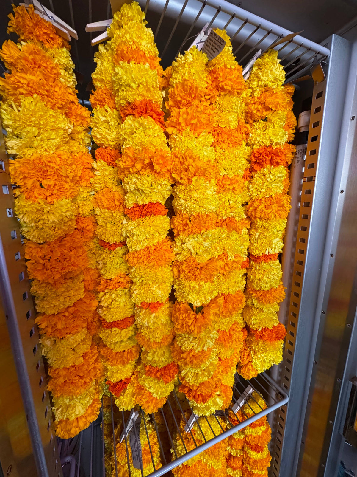 Fresh Marigold Garland