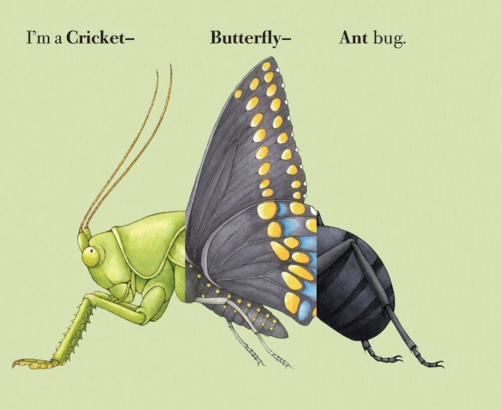 Build-A-Bug Board Book