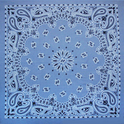 Bandana - Chambray Paisley
