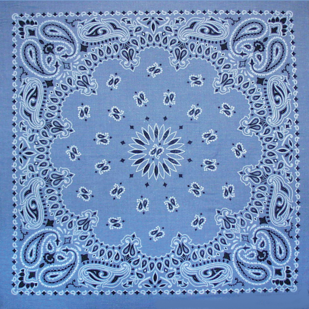 Bandana - Chambray Paisley