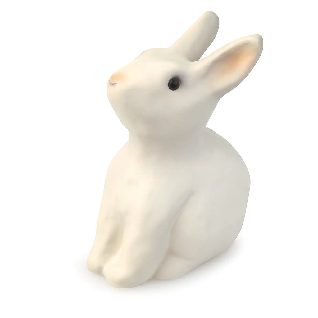 Bunny Rabbit Savings Bank