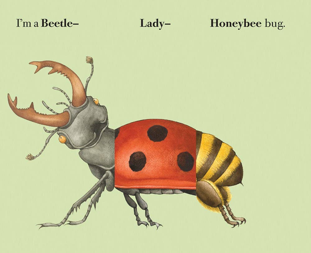 Build-A-Bug Board Book