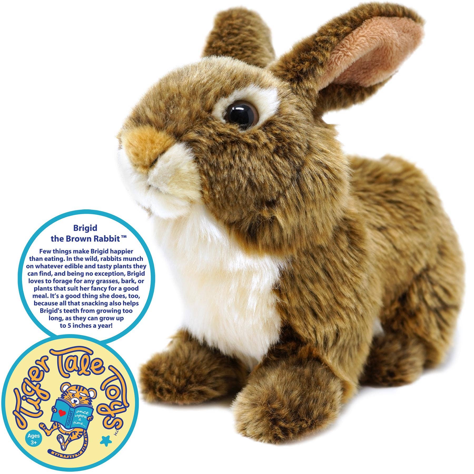 Brigid the Brown Rabbit Stuffed Animal