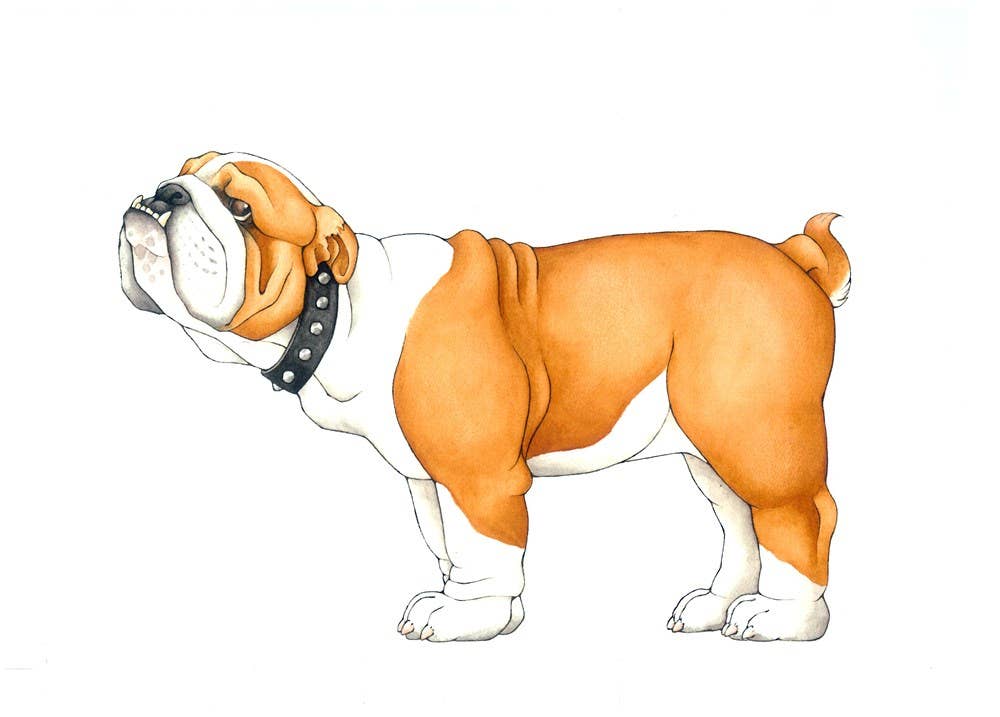 Mix-a-Mutt: Make Your Own Wacky Canine!: Board Book