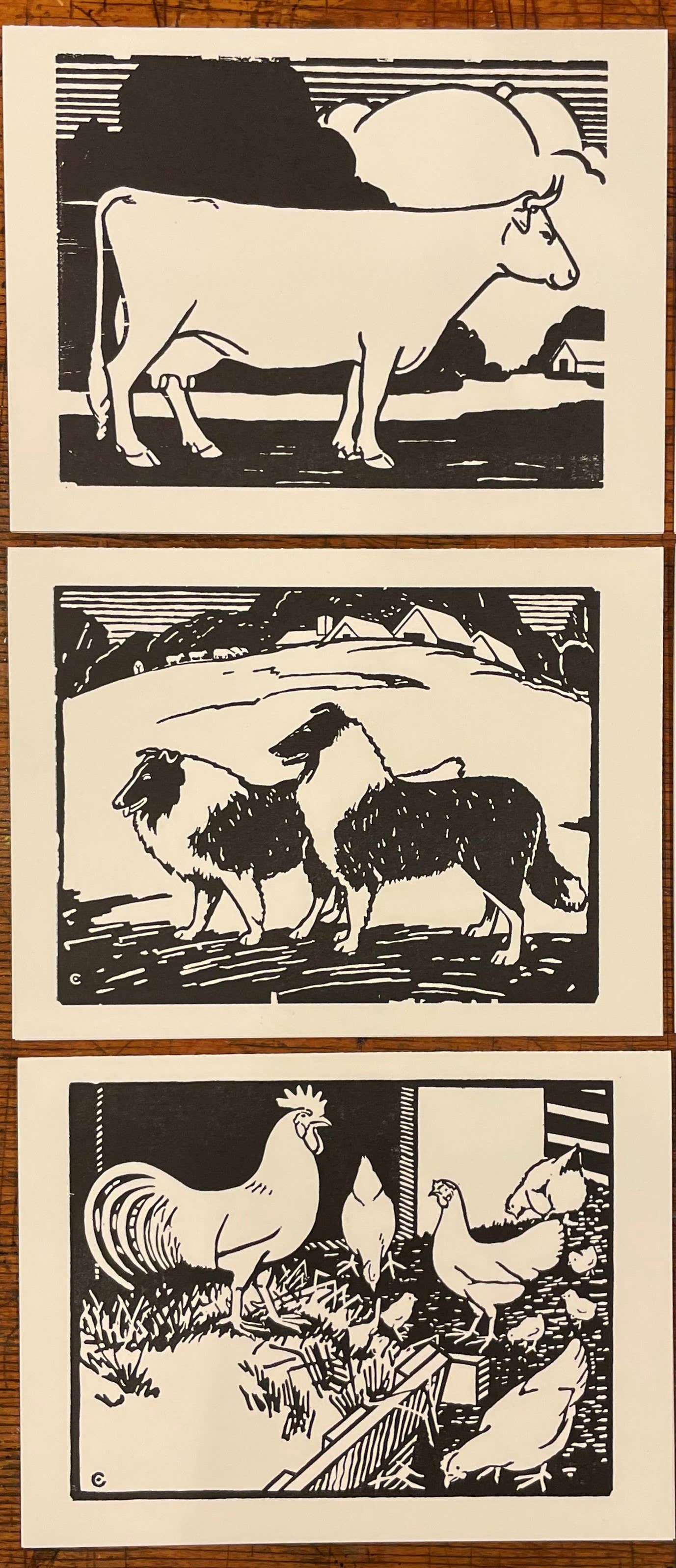 Barnyard Animal Coloring Cards