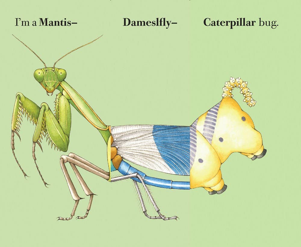 Build-A-Bug Board Book