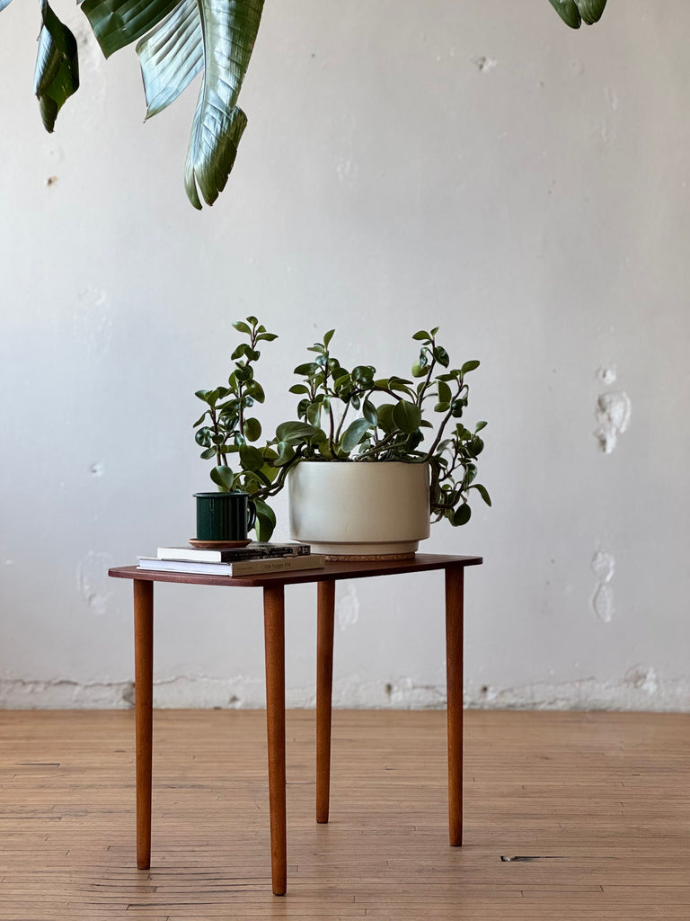 Danish Side Table In Teak And Beech #001