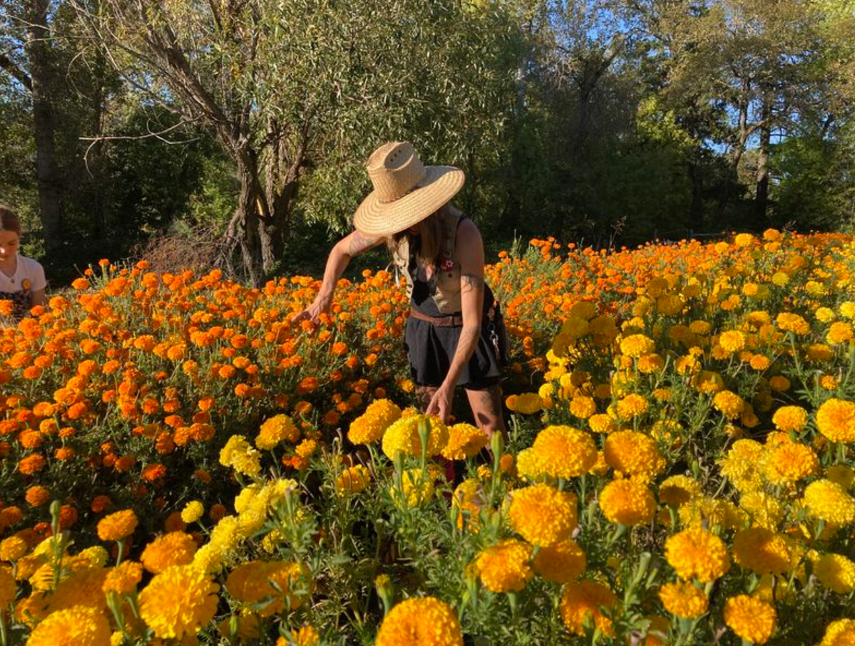 Fresh Marigold Garland