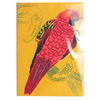 Parrot Greetings Card