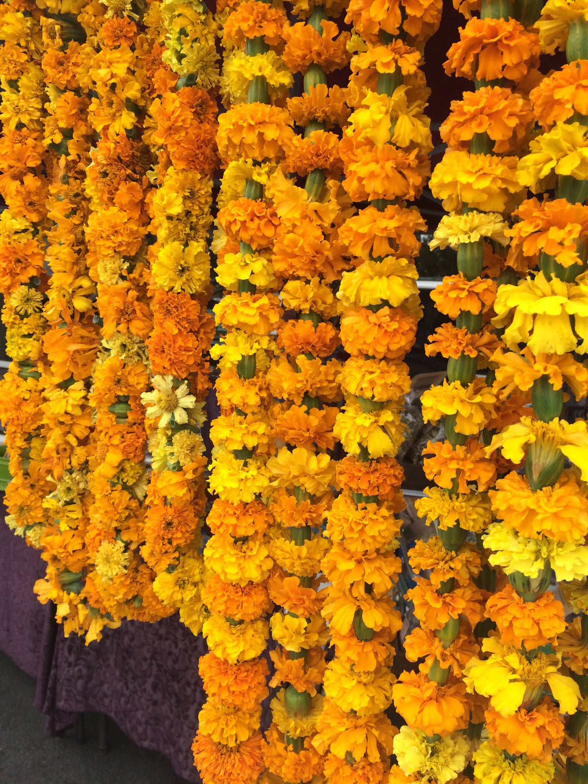 Fresh Marigold Garland