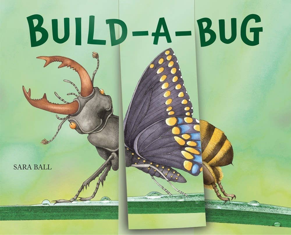 Build-A-Bug Board Book – Golden Age Design