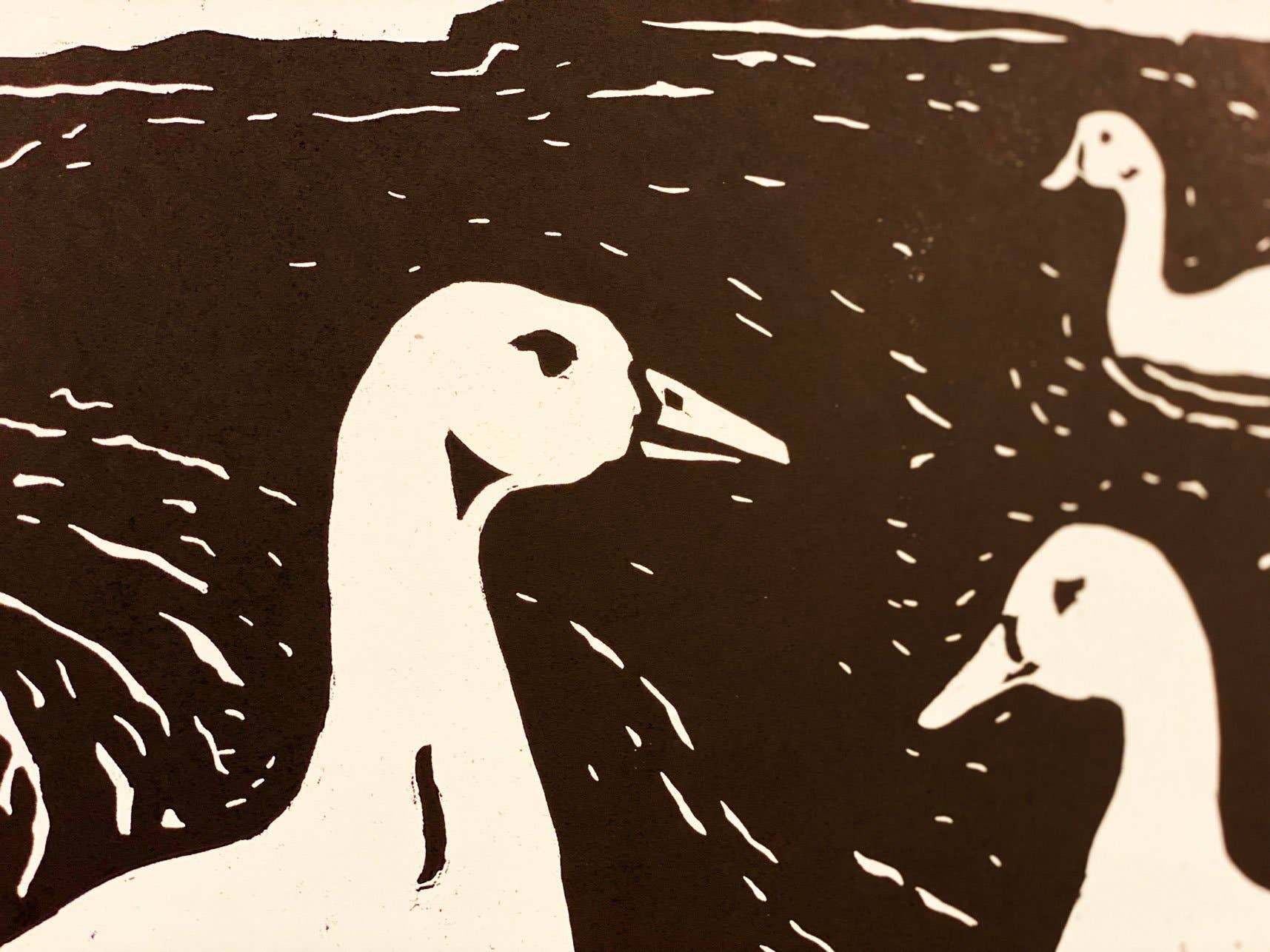 Duck Print