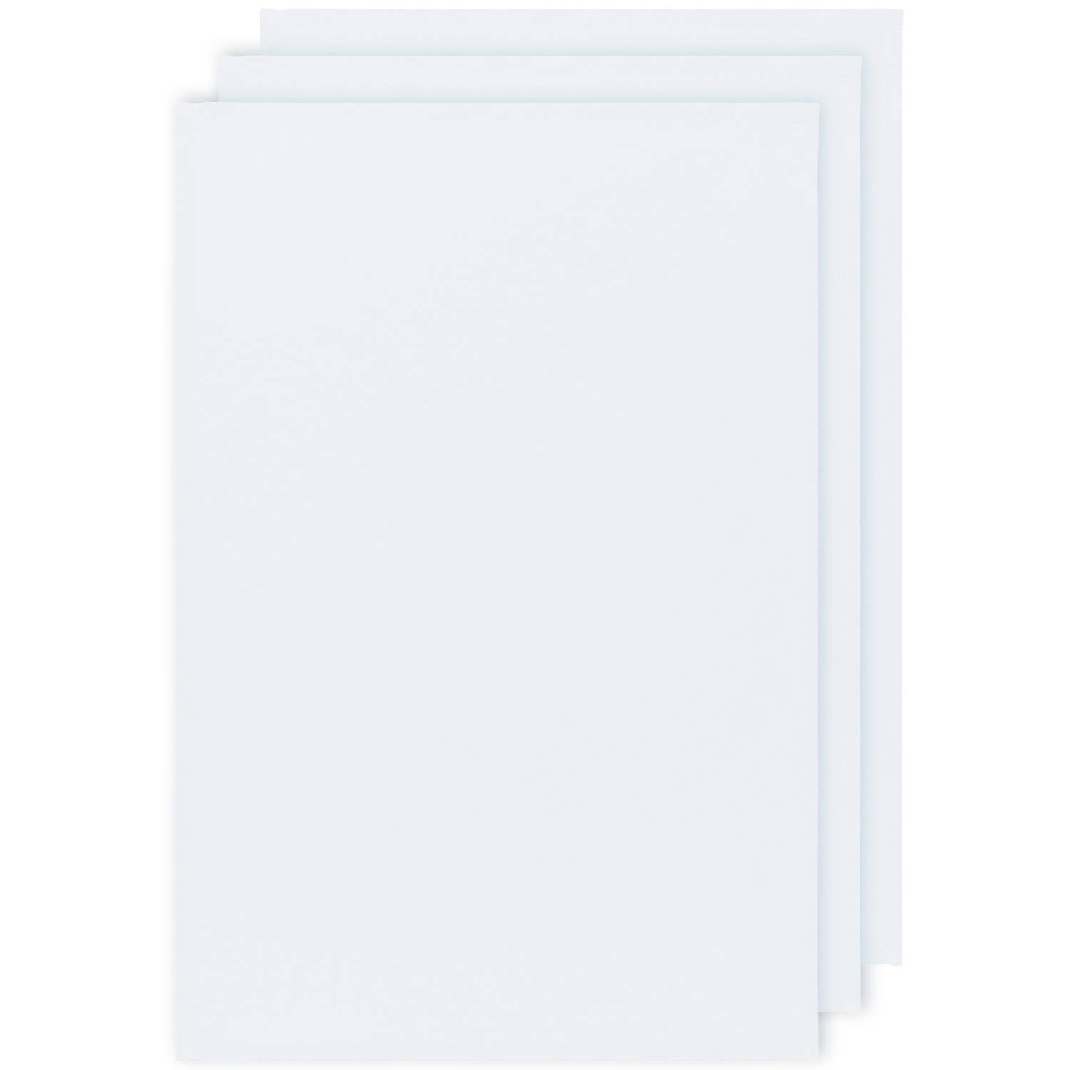 White Floursack Dishtowels Set of 3