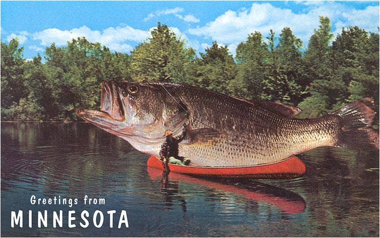 Giant Fish, Greetings from Minnesota Postcard