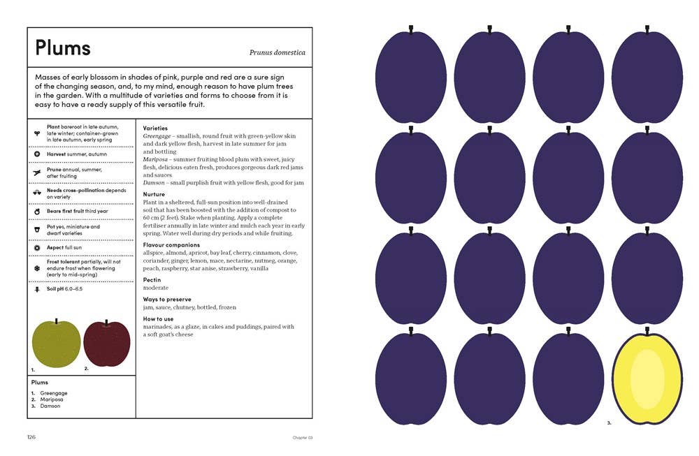 The Preserving Garden: Hardcover