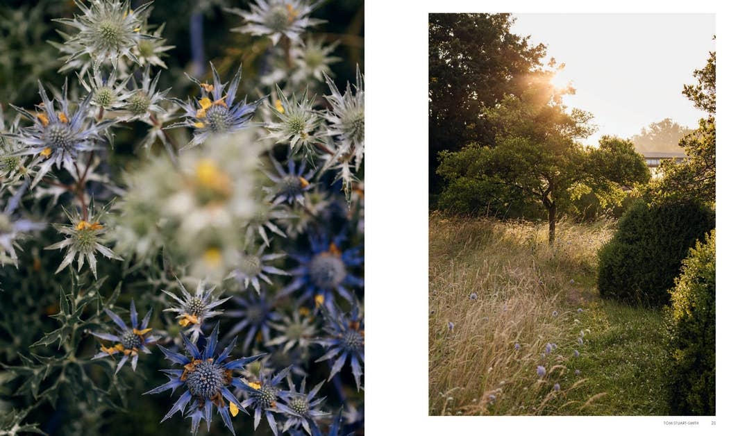 Wonderlands: British Garden Designers at Home Hardcover Book