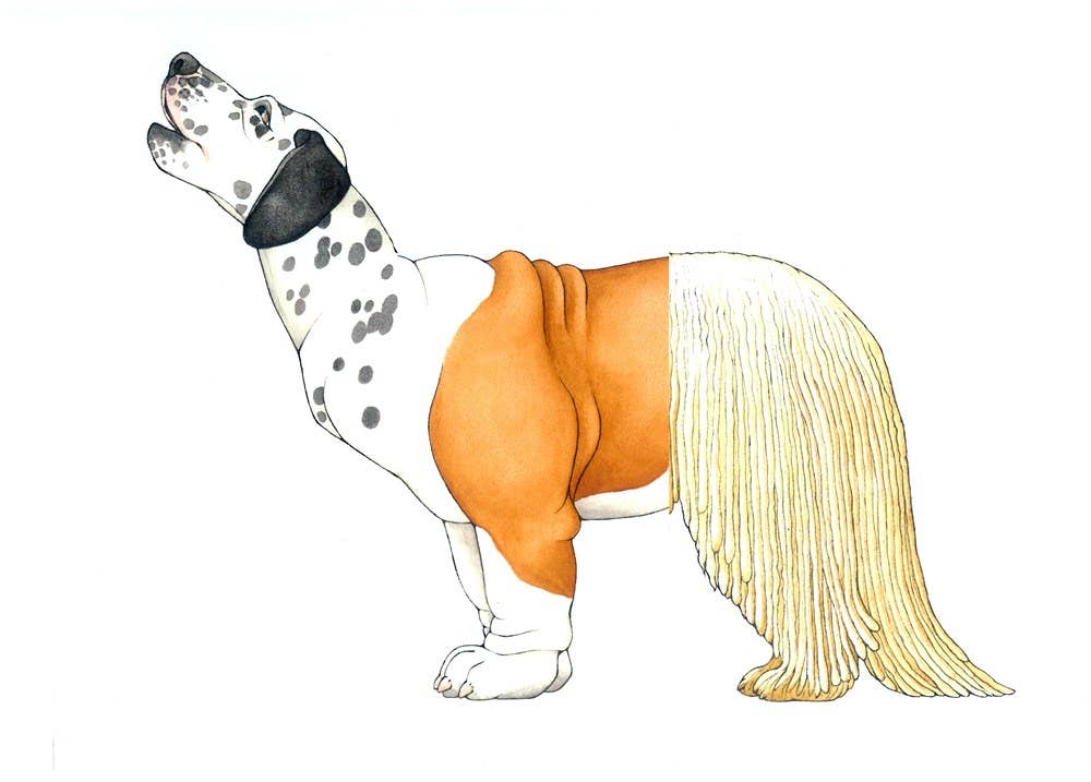 Mix-a-Mutt: Make Your Own Wacky Canine!: Board Book