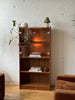 Danish display case in teak and glass designed by Carlo Jensen