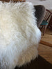 White Icelandic Sheepskin