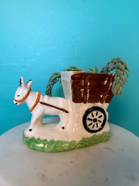 Burro's Tail in Donkey with Wagon Planter