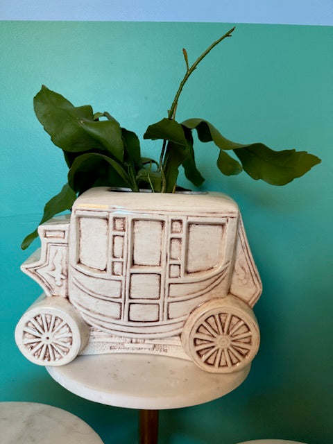 Orchid Cactus in Wagon Planter