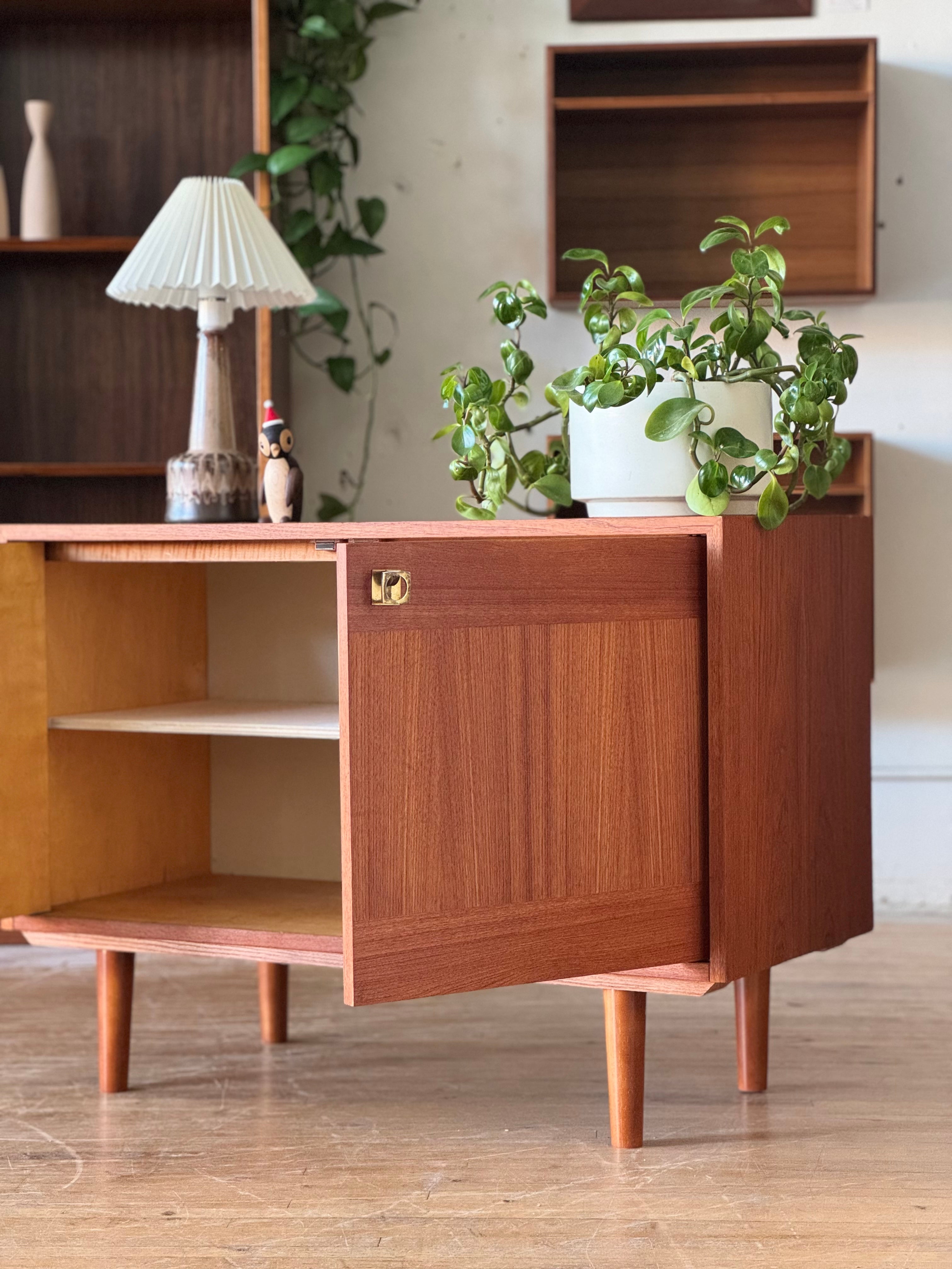 Danish Modern Cabinet in Teak #421