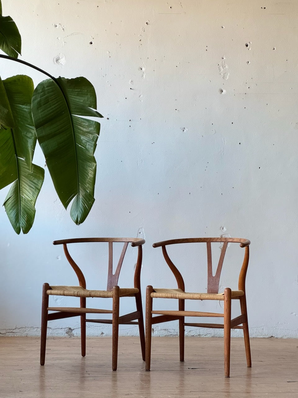 Wishbone Chair in Smoked Oak by Hans J Wegner