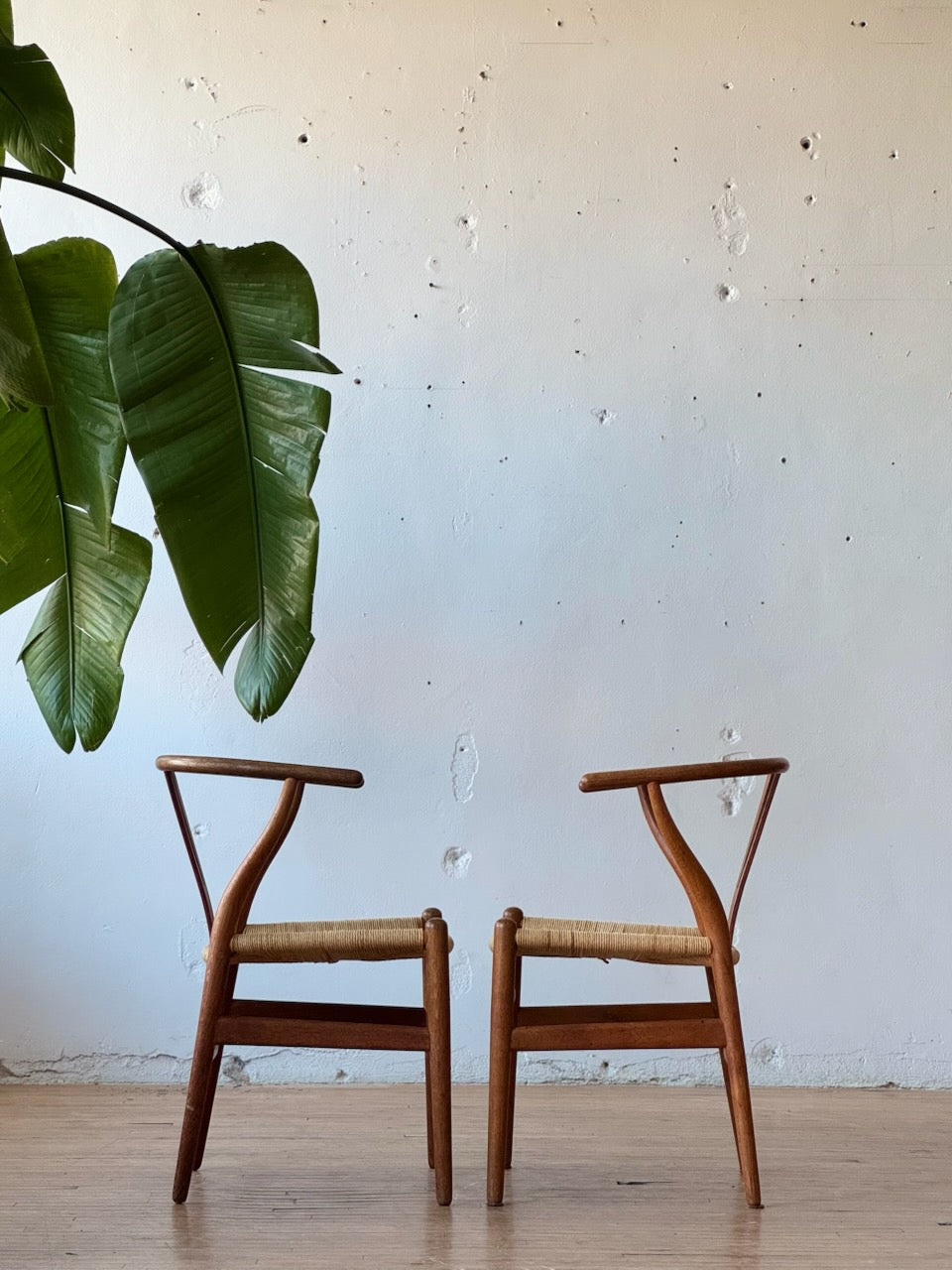 Wishbone Chair in Smoked Oak by Hans J Wegner
