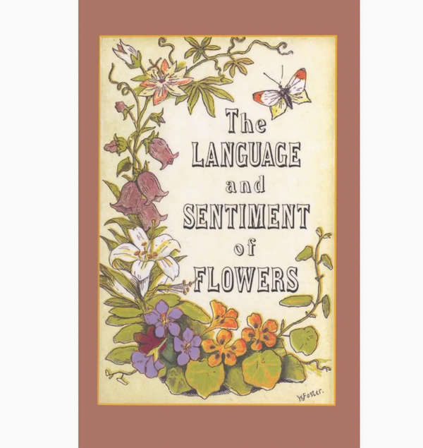 The Language and Sentiment of Flowers