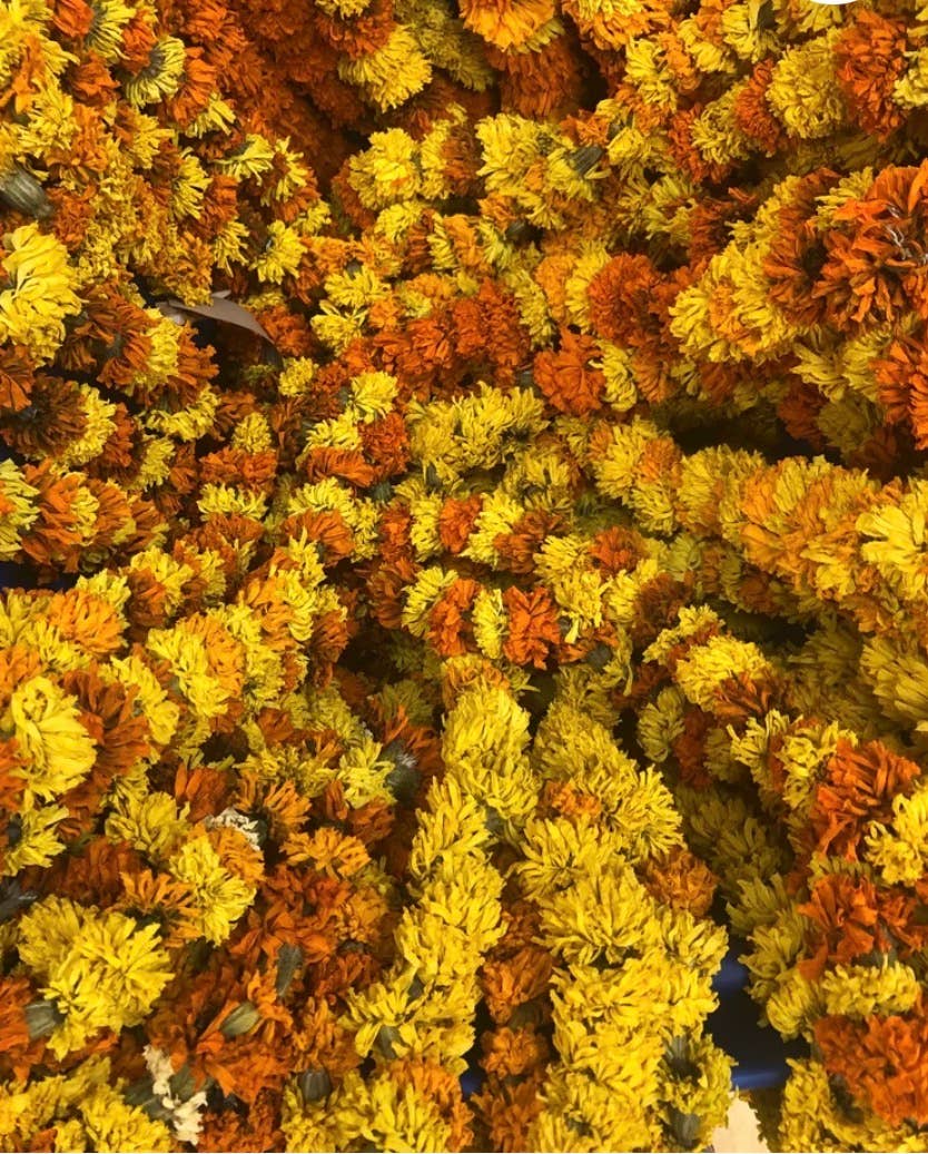 Dried Marigold Garland