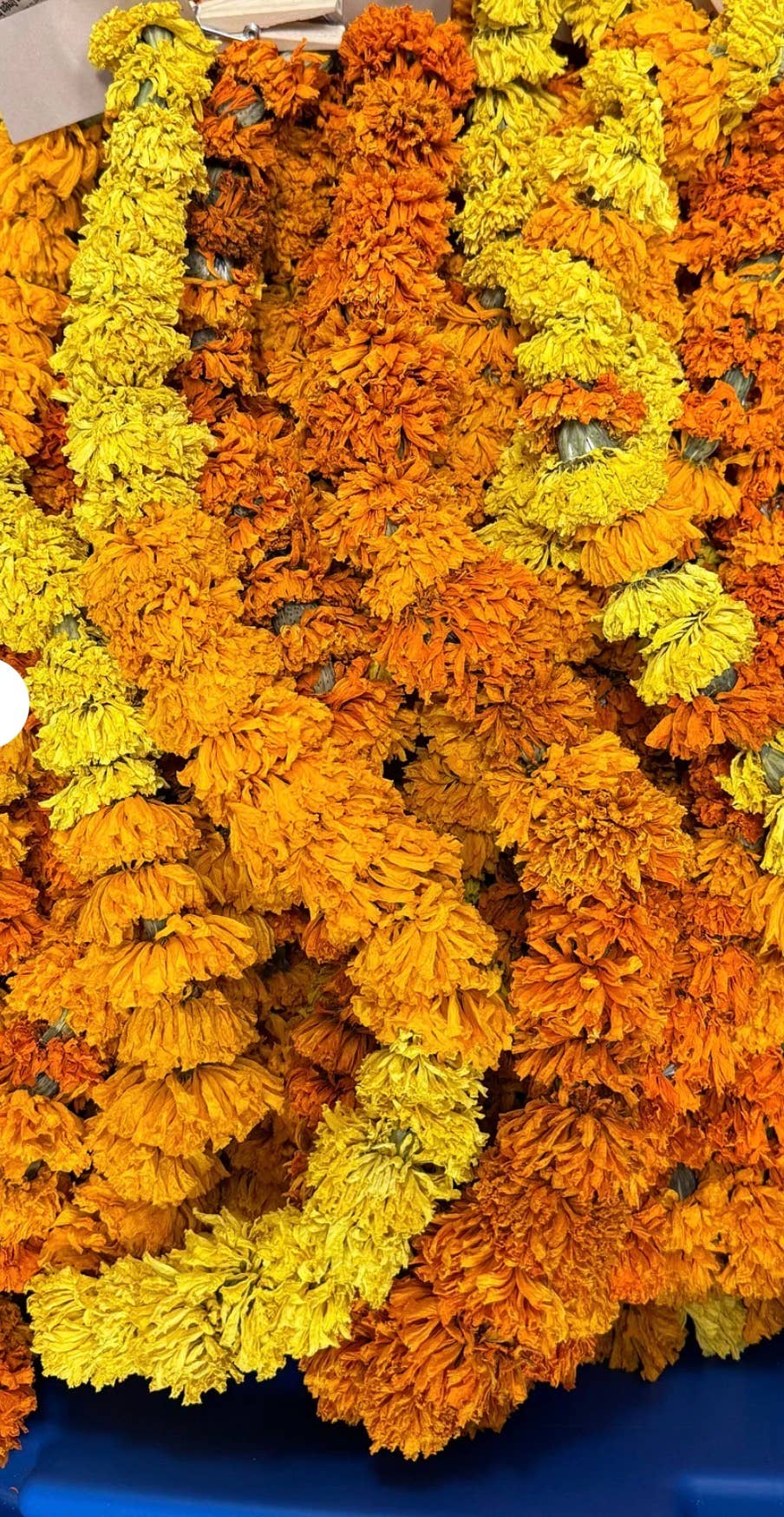 Dried Marigold Garland