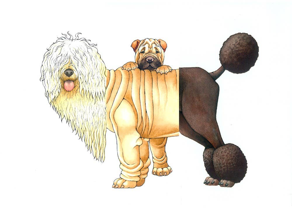 Mix-a-Mutt: Make Your Own Wacky Canine!: Board Book