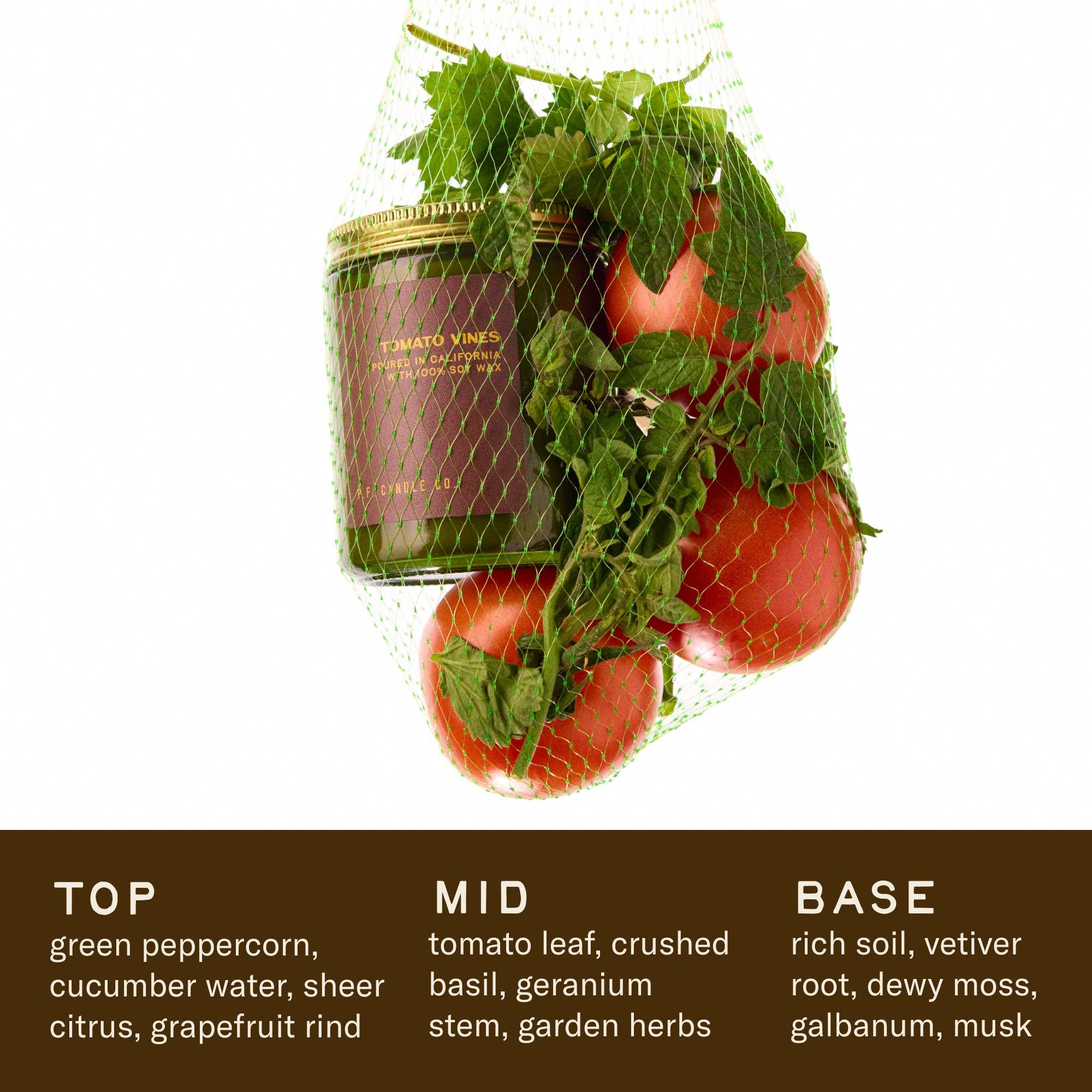 Tomato Vines  7.2oz Candle
