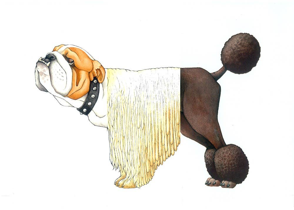 Mix-a-Mutt: Make Your Own Wacky Canine!: Board Book