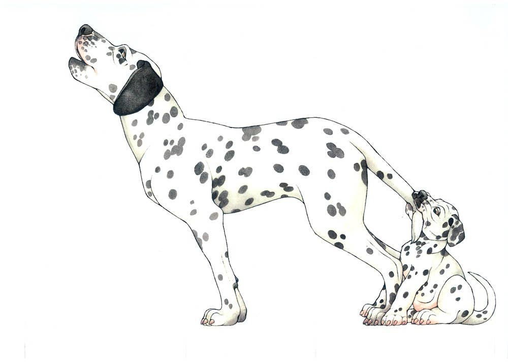 Mix-a-Mutt: Make Your Own Wacky Canine!: Board Book