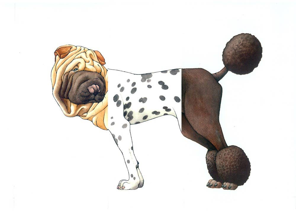 Mix-a-Mutt: Make Your Own Wacky Canine!: Board Book