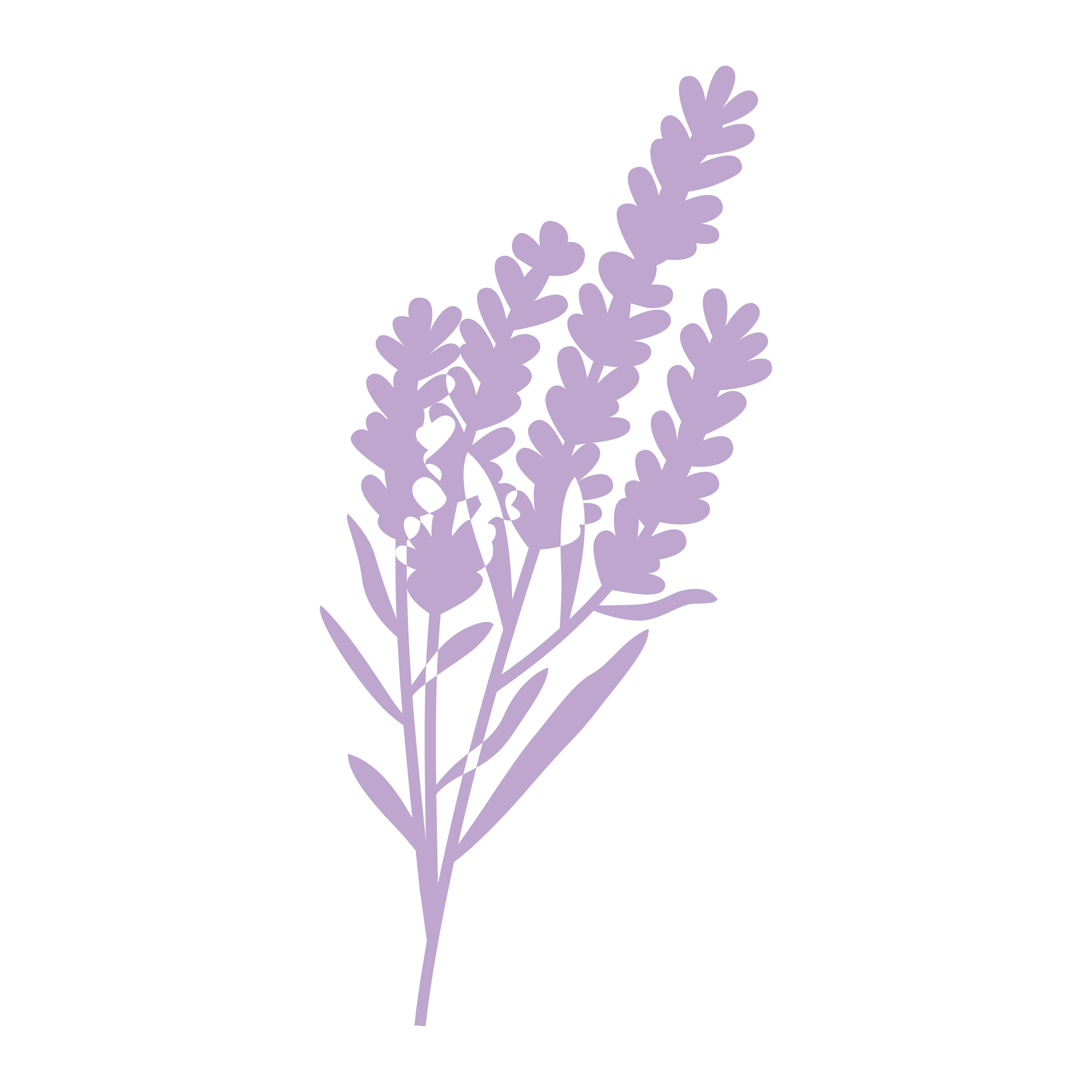 Room Spray + Freshener: Lavender Bloom
