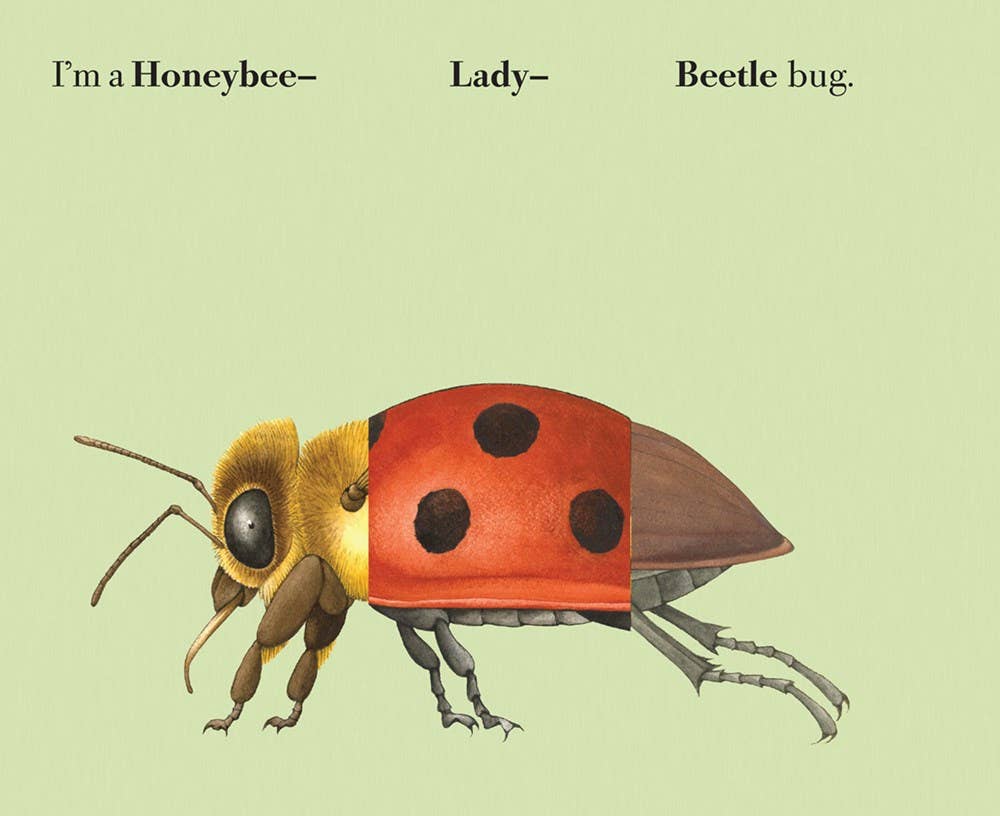 Build-A-Bug Board Book