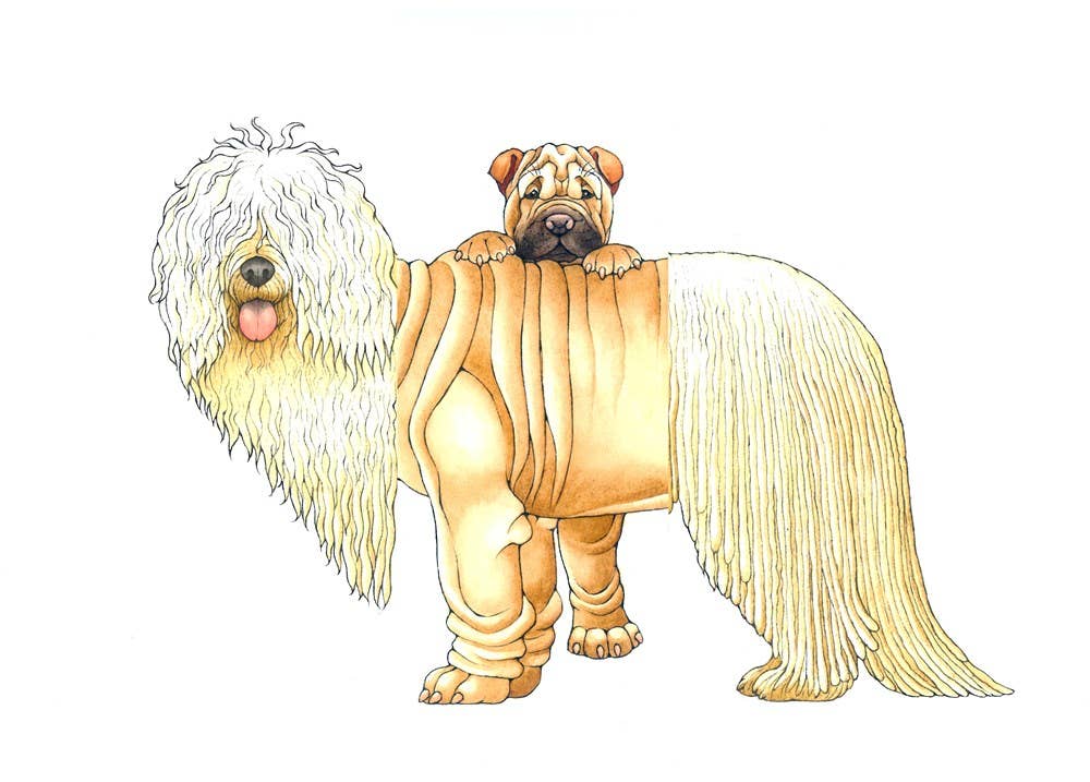 Mix-a-Mutt: Make Your Own Wacky Canine!: Board Book