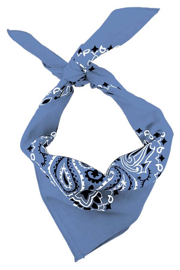 Bandana - Chambray Paisley