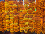 Fresh Marigold Garland