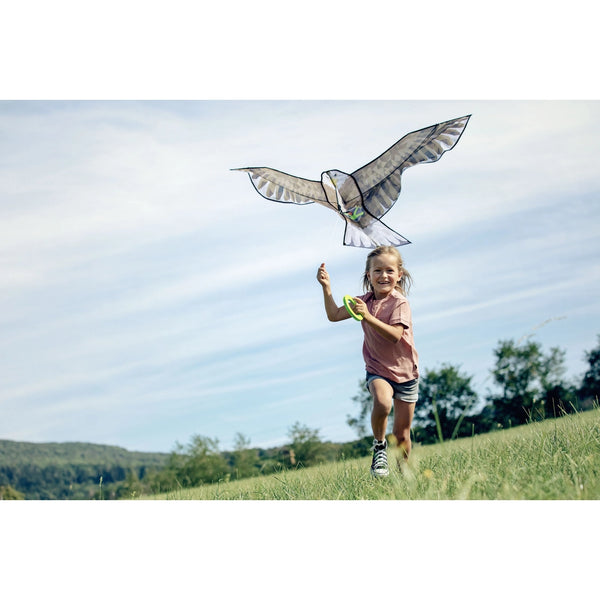 Terra Kids Eagle Kite